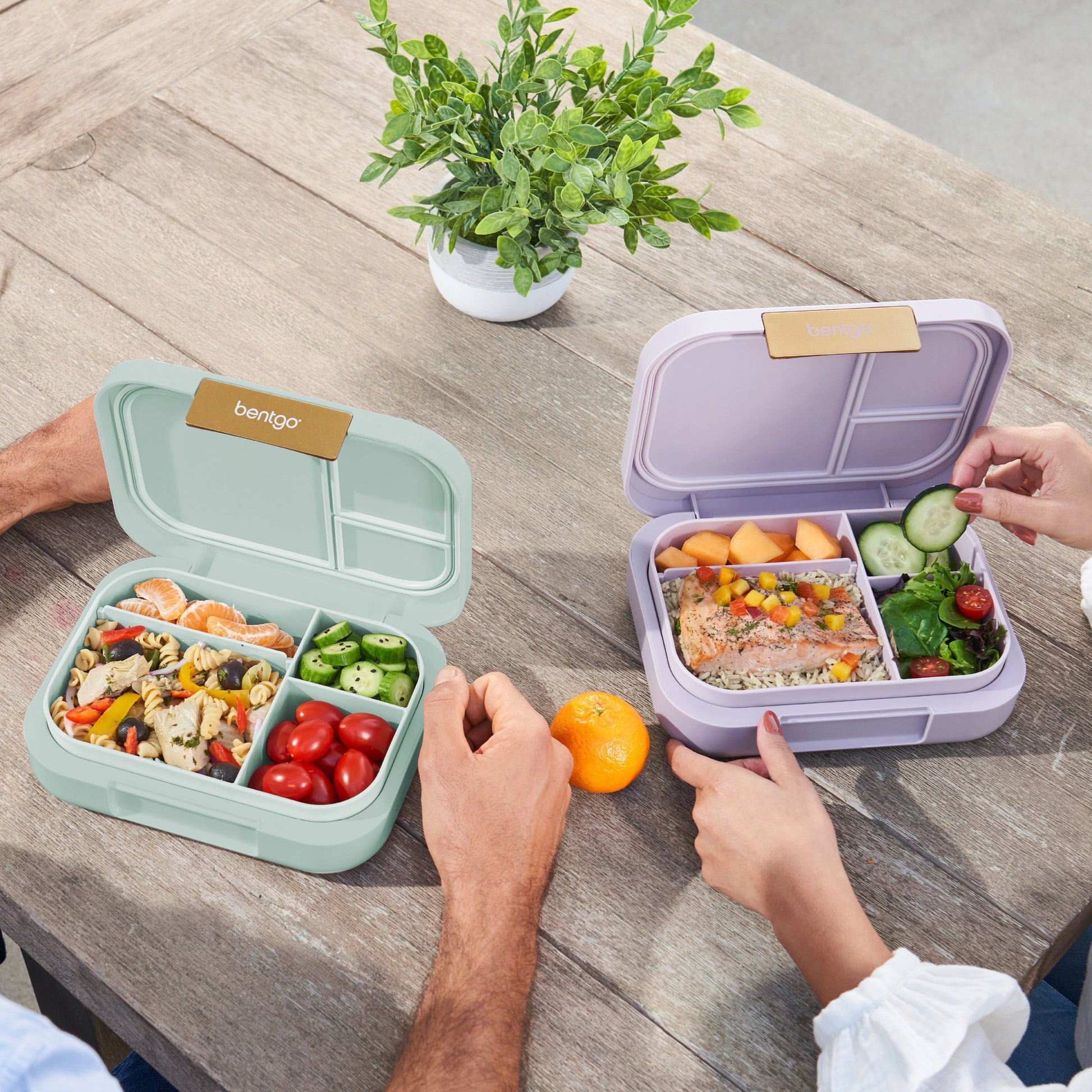 bentgo-modern-lunch-box-2-pack-b3 COSTCOBMCPRODUCTIMAGE_2.jpg